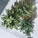 Winlyn Set of 3 Small Potted Plants Artificial Eucalyptus in Wood Box Faux Eucalyptus in Pots Desk Plants Greenery Centerpiece Table Decorations for Farmhouse Kitchen Windowsill Shelf Entryway Decor Winlyn