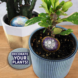 ArtSkills Rock Painting Kit with Geode, Mandala & Glow in The Dark Rock Painting, Arts and Crafts for Kids ArtSkills