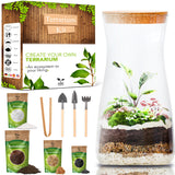 PYEF CRAFTS DIY Terrarium Kit for Adults – Build Your Own Self‑Sustaining Closed Ecosystem – 34 fl oz (1‑Liter) Glass Terrarium – Succulents, Air Plants, Fittonia, Fern – Plants Not Included PYEF CRAFTS