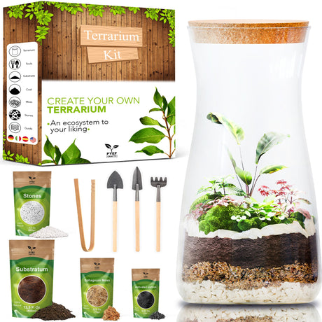 PYEF CRAFTS DIY Terrarium Kit for Adults – Build Your Own Self‑Sustaining Closed Ecosystem – 34 fl oz (1‑Liter) Glass Terrarium – Succulents, Air Plants, Fittonia, Fern – Plants Not Included PYEF CRAFTS