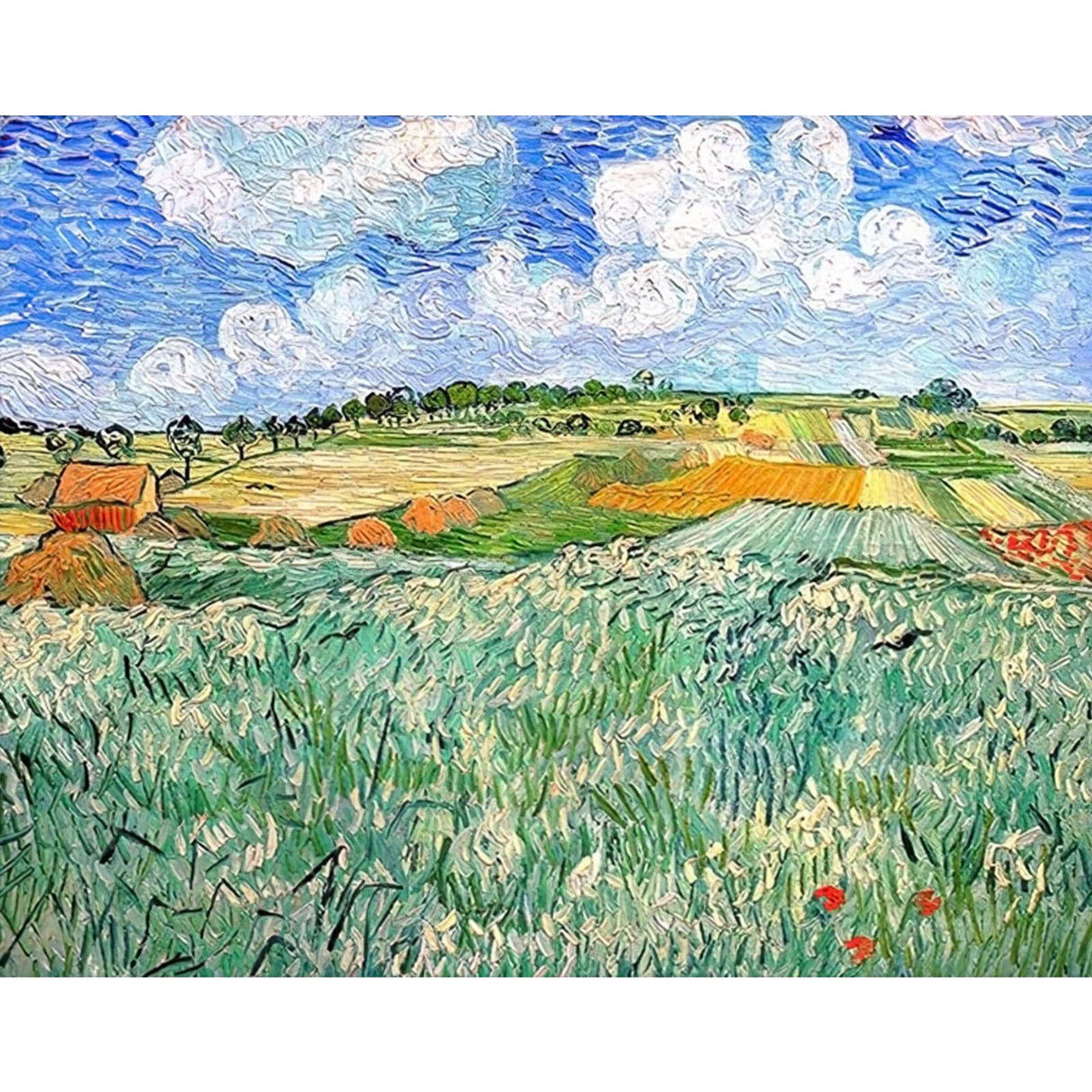 Vincent Van Gogh Masterpiece Series Paint by Numbers for Adults by Tococoo, DIY Adult Paint by Number Kits for Beginners on Canvas Rolled 16" by 20" Without Framed (The Plains of Orvison) Tucocoo