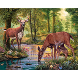 Bits and Pieces – 100 Piece Jigsaw Puzzle for Adults – Woodland Stream - Large Lettered Pieces Deer Family Jigsaw Puzzle, Completed Puzzle Size: 15" x 19" Bits and Pieces