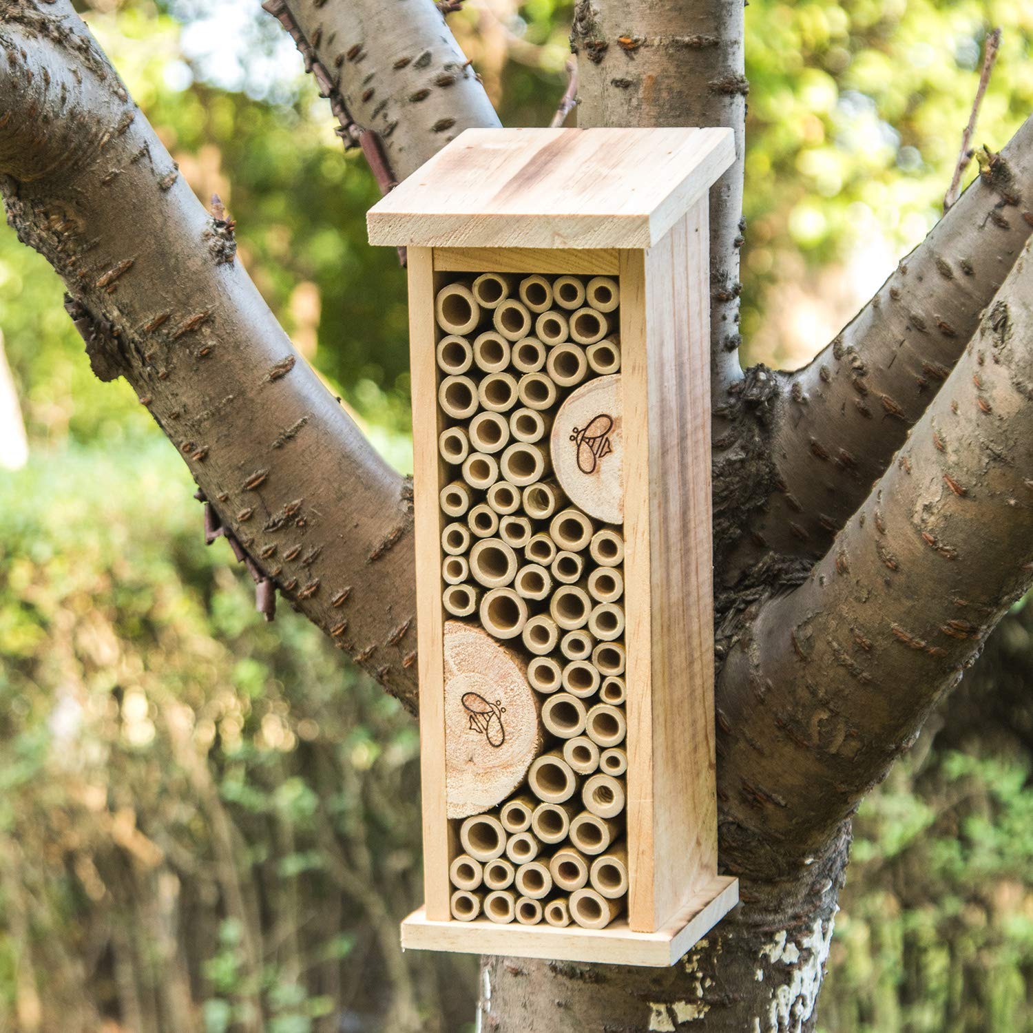 Bird House Bee Hive Wooden Insects House Hanging Bamboo Insect Hotels for Outdoor Garden Decorative - WoodArtSupply