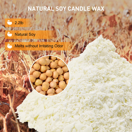 Ohcans Premium Soy Wax for Candle Making, 2.2lbs Natural Soy Wax, 100 Cotton Wicks & Holders Ohcans