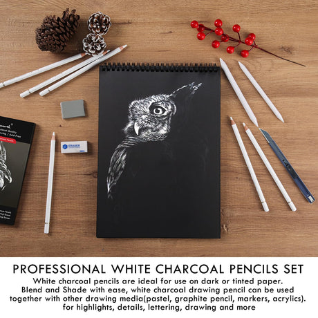 Brusarth White Charcoal Pencils Set - 12 Piece White Colored Pencils for Drawing, Sketching, Shading, Blending, White Chalk Pencils for Kid, Beginners & Pro Artists Brusarth