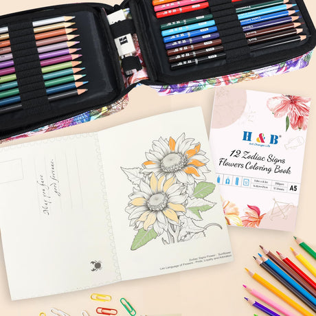 H & B Art Supplies, 72 Pack Drawing Supplies for Adults, Color Kit with Drawing Book, Coloring Book, Watercolor, Metallic Charcoal Macaron Oil-Based Coloured Pencils for Artists H & B