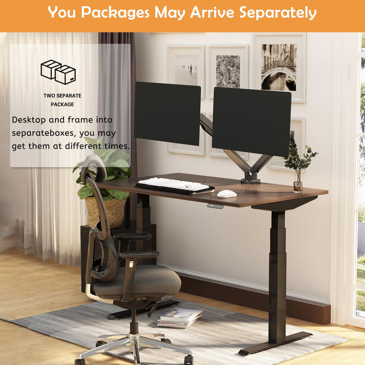 ALFA BUSINESS Dual Motor Standing Desk 60x30 Inches, Electric Adjustable Height Desk for Home Office, Sit and Stand Computer Desk with Memory Presets ALFA BUSINESS