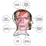 AQUARIUS David Bowie Aladdin Sane Puzzle (500 Piece Jigsaw Puzzle) - Glare Free - Precision Fit - Officially Licensed David Bowie Merchandise & Collectibles - 14 x 19 Inches AQUARIUS