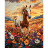 obterie Horse Paint by Numbers Kit for Adults Beginner Animals Oil Painting Kit Adult Paint by Number Kits on Canvas DIY Painting for Beginners Art by Numbers for Gifts Home Wall Decor 16x20 Inch obterie