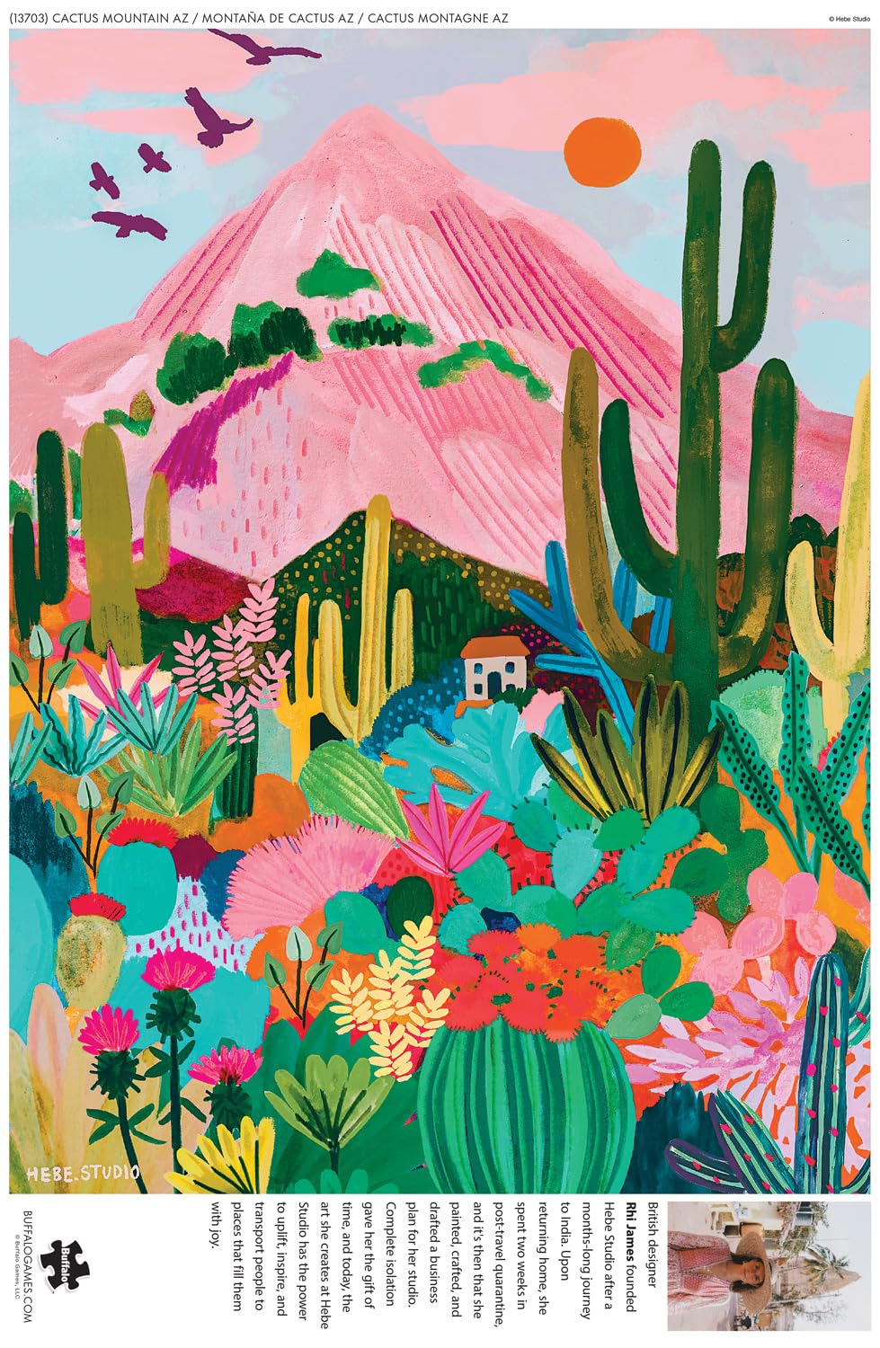 Buffalo Games - Hebe Studio - Cactus Mountain AZ - 1000 Piece Jigsaw Puzzle for Adults -Challenging Puzzle Perfect for Game Nights - Finished Size is 26.75 x 19.75 Buffalo Games
