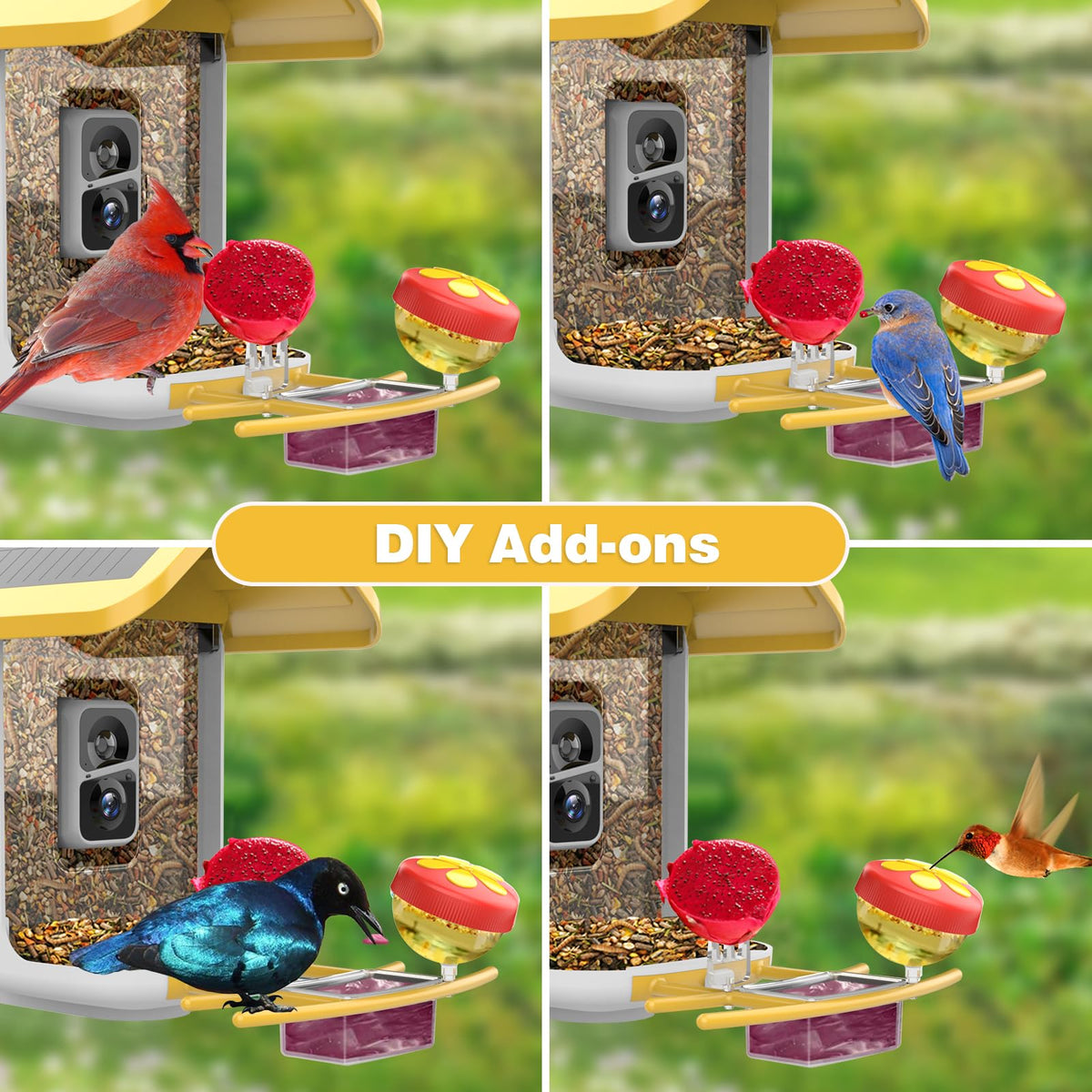 Viubird Bird Feeder with Camera: Solar Powered Smart Bird Camera Feeder 2K Live Feed for Backyard - AI Identify Auto Capture Videos, Gifts for Birdlovers Mom Dad, 2.4GHz WiFi VIUBIRD