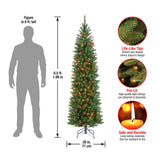 National Tree Company Artificial Pre-Lit Slim Christmas Tree, Green, Kingswood Fir, Multicolor Lights, Includes Stand, 6.5 Feet National Tree Company
