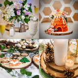 Set of (10) 9-10 inch Wood Slices for centerpieces! Wedding centerpieces, Baby Shower centerpieces, Birthday Party centerpieces, Bridal Shower centerpieces, Woodland centerpieces! (9 inch) Rustic Wood Slices Inc.