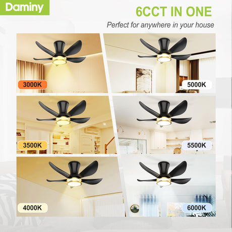 DAMINY 30 Inch Black and Gold 5 Blade Ceiling Fan with Light, Modern Ceiling Fan with Remote,Large Airflow,Flush Mount,6CCT,Dimmable,Noiseless,Bedroom Ceiling Fan DAMINY