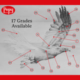 Pepy Graphite Professional Drawing Pencils - Set of 12 6B Pre-Sharpened Black Lead Pencils; Perfect for Drawing, Sketching and Shading, Graphic and Fine Art Pepy