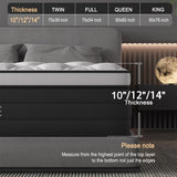 Queen Mattress, 14 Inch Hybrid Mattress in a Box with Individual Pocket Spring, Gel Memory Foam and Euro Top, Medium Firm Feel with Motion Isolation, Pressure Relief, Edge Support,Queen Size Black TEMESINE