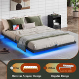 WLIVE Floating Queen Bed Frame, LED Bed Frame with Charging Station, Metal Platform Beds Queen Size with Heavy Duty Steel Slats, No Box Spring Needed, Easy Assembly, No Noise, Black WLIVE