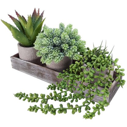 Winlyn Set of 3 Mini Potted Artificial Succulent Arrangement Faux String of Pearls Aloe Hops Succulent Plants in Rustic Decorative Wood Planter for Farmhouse Tabletop Shelves Indoor Greenery  - WoodArtSupply