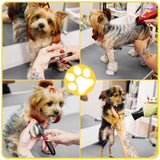 ROOMTEC 36" Dog Grooming Table,Foldable Home Pet Bathing Station with Adjustable Height Arm/Noose/Mesh Tray ROOMTEC