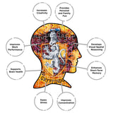 AQUARIUS Harry Potter Puzzle Gryffindor Crest (500 Piece Jigsaw Puzzle) - Officially Licensed Harry Potter Merchandise & Collectibles - Glare Free - Precision Fit - 14x19in AQUARIUS