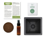 BUZZY Seeds Bonsai Complete Starter Kit (Norway Spruce) - Gardening Gifts - Guaranteed to Grow - Best Indoor Grow Your Own Gardening Gift - Hobbies for Plant Lovers or Unique Christmas Gifts BUZZY