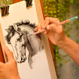 KALOUR 18-Piece Professional Sketch Pencil Set - Includes 5H to 14B Pencils, Vinyl Eraser, Kneaded Eraser,Sharpener and Paper Blending Stump - Ideal for Artists and Beginners KALOUR