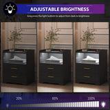 dnbss Black LED Nightstand with Charging Station, Night Stands with 24-Color RGB LED Lights, Smart Lighted Nightstand Black Bedside Table with Drawers, Modern Nightstand Bedroom dnbss