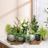 Mavurve Wood Riser 2Pcs 7-9 Inch Wood Pedestal Stand Round,Wood Risers for Decor Farmhouse,Natural Acacia Wood Stand for Display Wooden Risers for Kitchen/Bathroom Counter/Plant Stand Mavurve