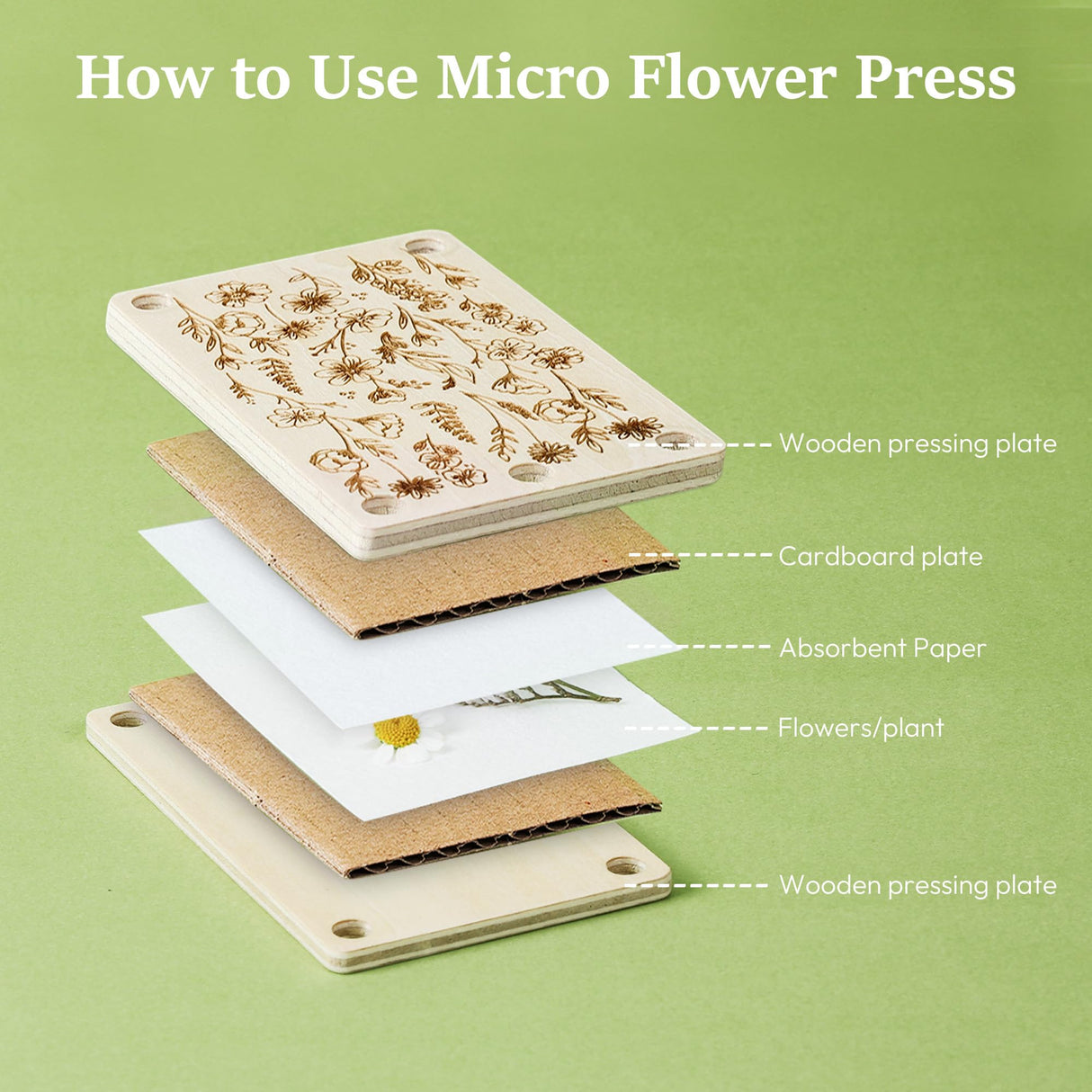 Aboofx Mini Flower Press Kit, Pocket Flower Press Kit for Pressing Plants, Leaves, Herbs, Micro Flowers Pressing Outdoor for The Beginners, Arts Craft Lovers, Classroom, Traveling, 2.5 x 4 Inch Aboofx