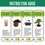 REALPETALED Bonsai Starter Kit – Japanese Bonsai Tree Kit with Bonsai Tools, 7 Bonsai Tree Seeds, Pots – Complete Grow Your Own Bonsai Tree Live Kit – Plant Lover Gifts Home Gifts for Men and Women REALPETALED