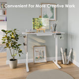 DSNAPE Electric Standing Desk with Drawers,48x24 Inch Electric Desk Adjustable Height with Side Storage,Sit Stand Desk for Home and Office,White DSNAPE