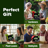Bonsai Tree Kit - Gifts for Men & Women - Grow 4 Bonsai Trees - Unique Gardening Crafts for Adults, DIY Hobbies for Plant Lovers & Gardeners - Unusual Christmas Gift Ideas for Mom & Dad HOME GROWN