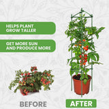 Tomato Cage - Trellis Stakes and Plant Support Structures for Vegetables and Climbing Plants - Tall Tomato Cages for Garden, Pots, Raised Garden Bed Outdoor (3 Pack - Up to 48 Inches) K-Brands
