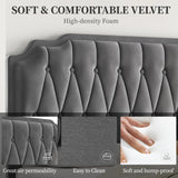 Yaheetech Dark Gray Velvet Upholstered Queen Bed Frame with Adjustable Curved Headboard Yaheetech