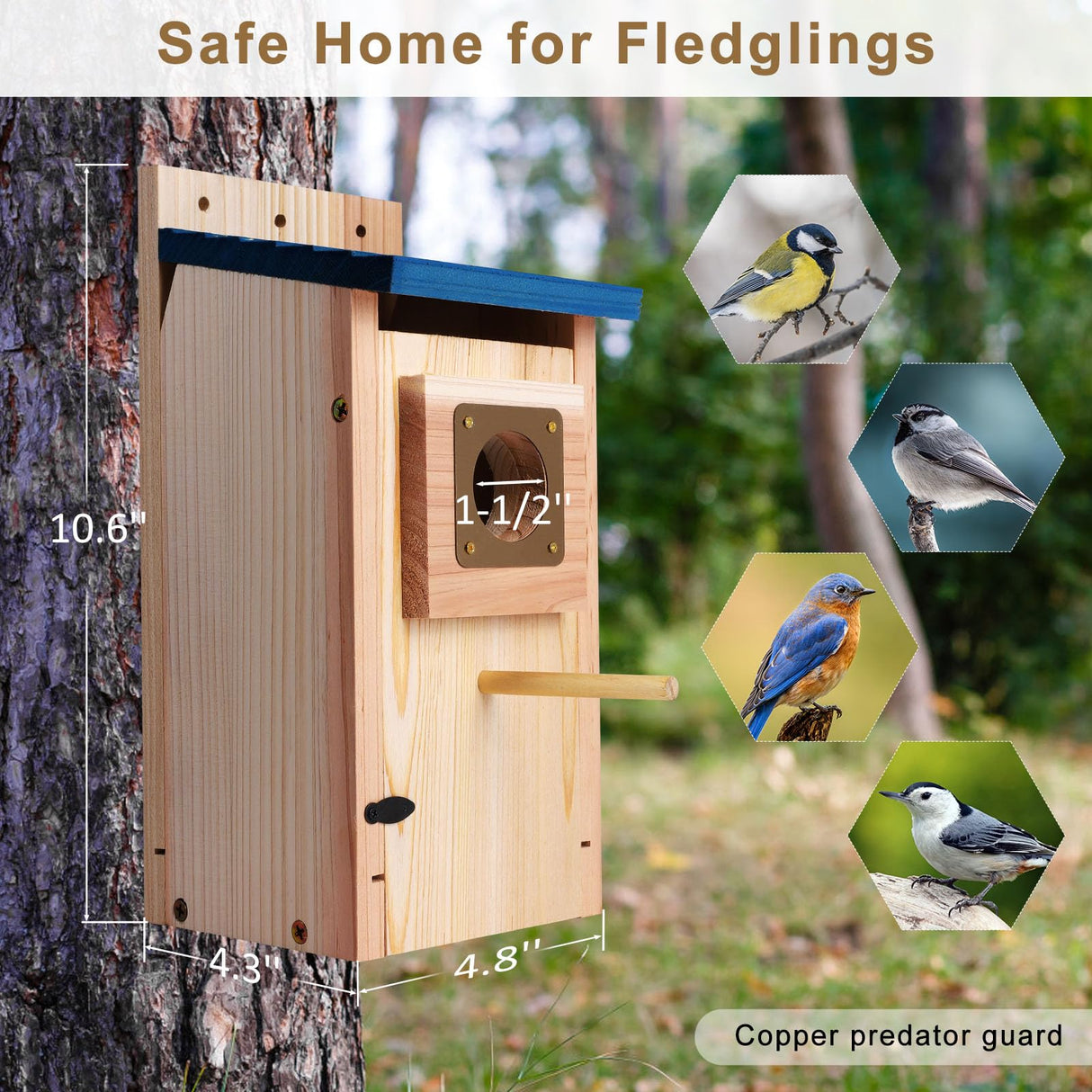 Bluebird Houses 2Pack for Outside with Copper Guard, Pole, Thicken Wooden Hanging Birdhouse Clearance Garden Country Cottages, Nesting Box for Bluebird Finch Swallow Wren Chickadee Wild Bird Supplies ColorfulLaVie