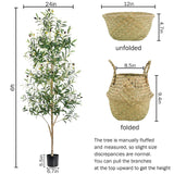 Caxchiling Faux Olive Tree 6FT, Artificial Potted Tree with Planter, Silk Plants Indoor Outdoor, Lifelike Olive Plants with Natural Wood Trunk, Fruits and Buds, Home Office Decor, 1 Pack Caxchiling