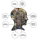 AQUARIUS Jurassic World Collage Puzzle (1000 Piece Jigsaw Puzzle) - Officially Licensed Jurassic World Merchandise & Collectibles - Glare Free - Precision Fit, 22'' x 28'' AQUARIUS