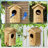 CLACKIBUKVYZ Hummingbird House,Wooden Birdhouse,Hummingbird Nest,Small Bird Houses for Outside,Outdoor Hanging Hummingbird House with Pole for Bluebird,Hummingbird,Finch,Cardinals CLACKIBUKVYZ