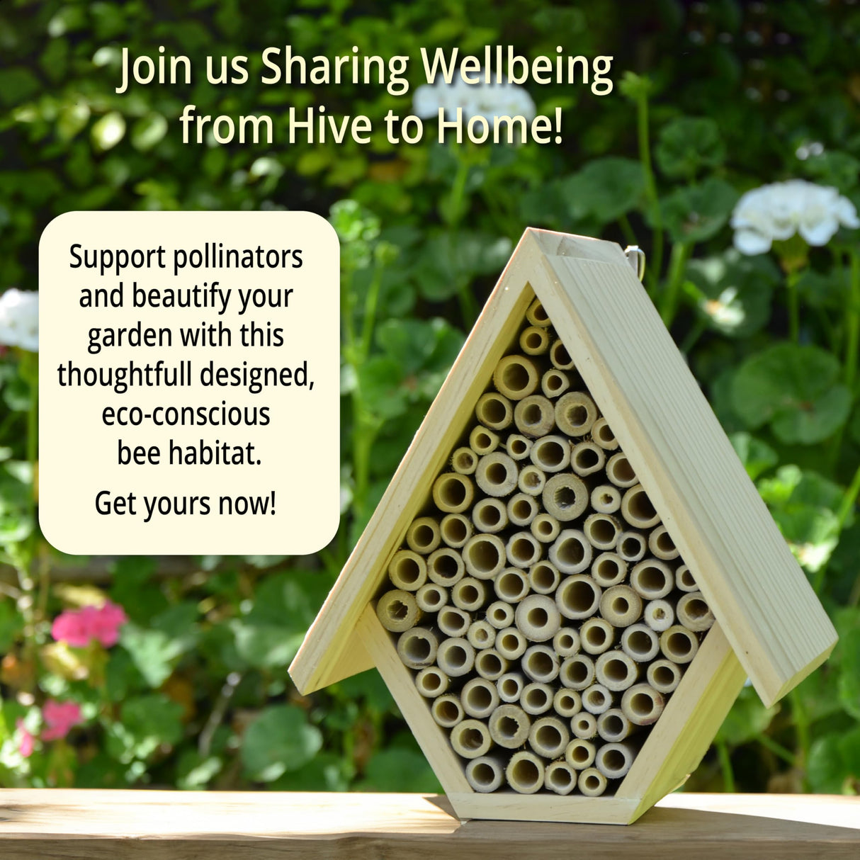 Wooden Bee House and Bee Hotel for Your Garden or Orchard, Attracts Pollinators: Mason Bee and Leafcutting Bees Vollenkor