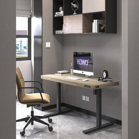 kowo Electric Height Adjustable Standing Desk with Drawer, 55" Home Office Wooden Computer Desk Ergonomic Memory Control Workstation Sit Stand Desk, Grey Oak/Black kowo