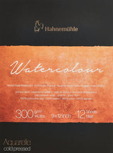 Hahnemhle Collection 100 Percent Cotton Watercolor Pad with 12 Durable Sheets, Vegan and Acid-Free (300 GSM, 9 x 12 Inch) Hahnemühle