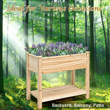 S AFSTAR Raised Garden Bed with Storage Shelf, Elevated Cedar Wood Planter Box with Legs, Outdoor Gardening Planting Bed for Vegetables Flower Herb Grow, Great for Backyard Patio Lawn S AFSTAR