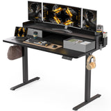 WALKINGDESK 48x24 Inches Electric Standing Desk with 2 Drawers, Height Adjustable Stand up Desk for Home Office, Inches Ergonomic Sit to Stand Desk with Storage Shelf, DIY Board, Hooks, Black WALKINGDESK