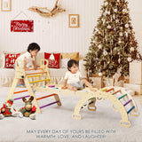 BlueWood Pikler Triangle Set, Foldable Wooden Climbing Toys Set, Indoor Playground Jungle Gym, Montessori Climbing Set for 2-6 Years Old, Toddlers, Baby, Kids (Rainbow) BlueWood