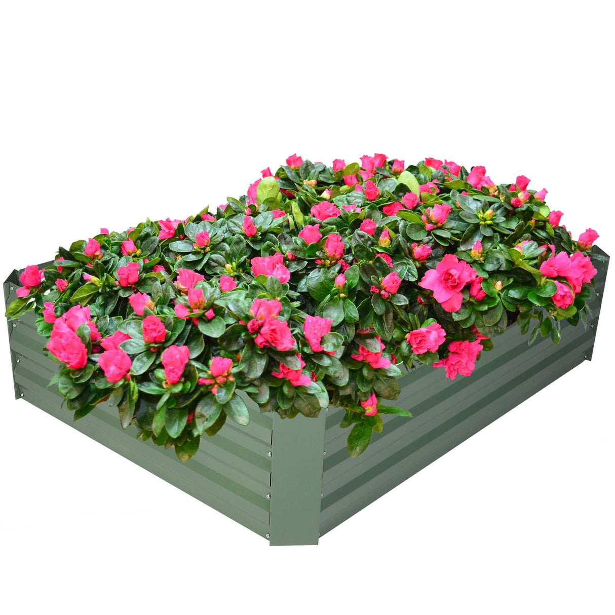 LUCKYERMORE Galvanized Raised Garden Bed Planter Box 4' x 3' x 1', Anti-Rust Coated Metal Garden Bed for Vegetables, Herbs, and Flowers - Outdoor Raised Planter Box, Green LUCKYERMORE