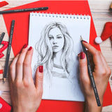 YUANCHENG Professional Drawing Sketching Pencil Set - 12 Pieces,Graphite,(14B - 2H), Graphite Pencils for Drawing, Shading Pencils for Sketching,Artist Pencils for Beginners,Drawing Art YUANCHENG