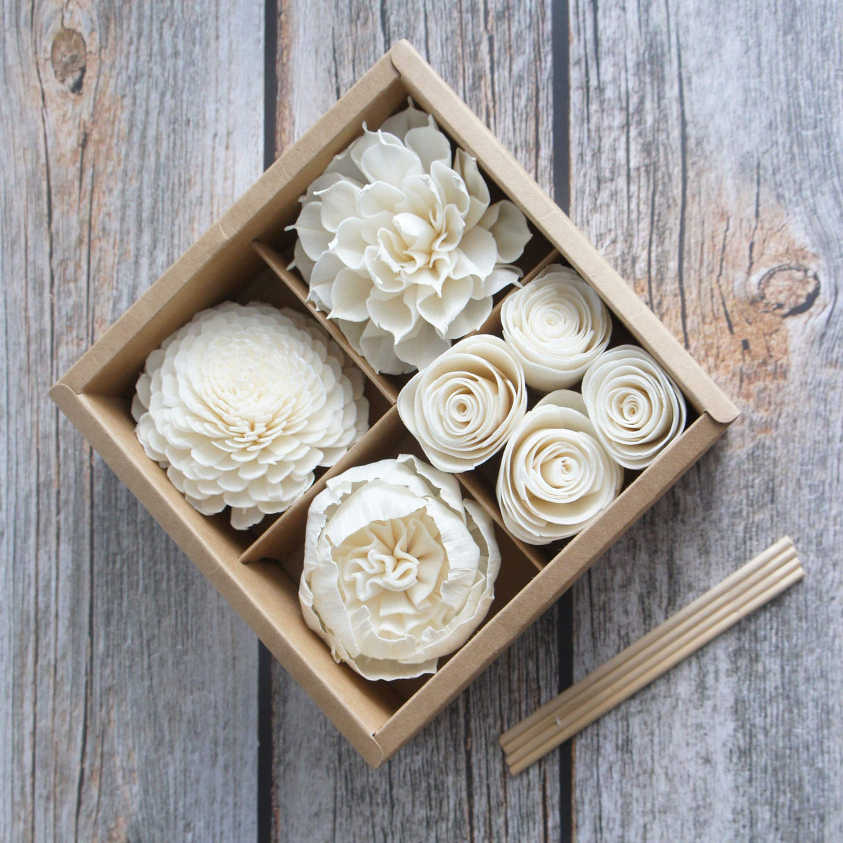 Mixed White Sola Flower with Cotton Wick Diffuser Set Replacement for Home Fragrance by Plawanature plawanature