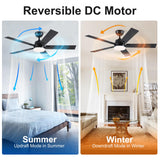52 Inch Ceiling Fans with Lights and Remote, Black Ceiling Fan with 5 Blades, 6 Speed Reversible DC Motor, 3CCT Dimmable LED, Modern Design for Bedroom, Living room & Covered Outdoor,Includes Downrod Rayqueen