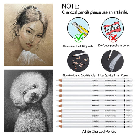 PANDAFLY White Charcoal Pencils Set, Professional 14 Piece Sketch Highlight Charcoal Pencils for Drawing, Sketching, Shading, Blending, White Chalk Pencils for Kid, Beginners & Pro Artists PANDAFLY