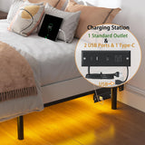 Bed Frame with Charging Station, Queen Bed Frame with LED Lights, 7 Inch High 9-Leg Support Sturdy Bed Base for Box Spring and Mattress, Easy Assembly, Black SHLAND